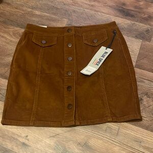 Blue spice skirt